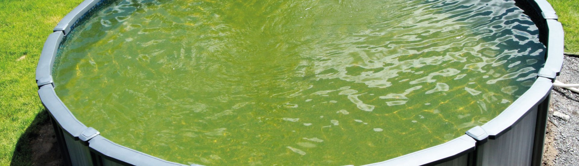 Eau verte dans une piscine hors-sol