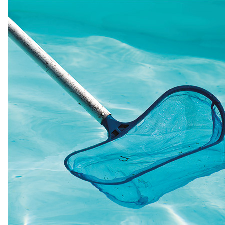 Brosse pour le nettoyage des surfaces de la piscine